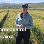 Unlocking Opportunities with Reddy Anna ID: A Comprehensive Guide